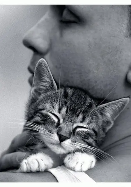 Maxxx из Регенсбурга, ищу на сайте знакомства без обязательств